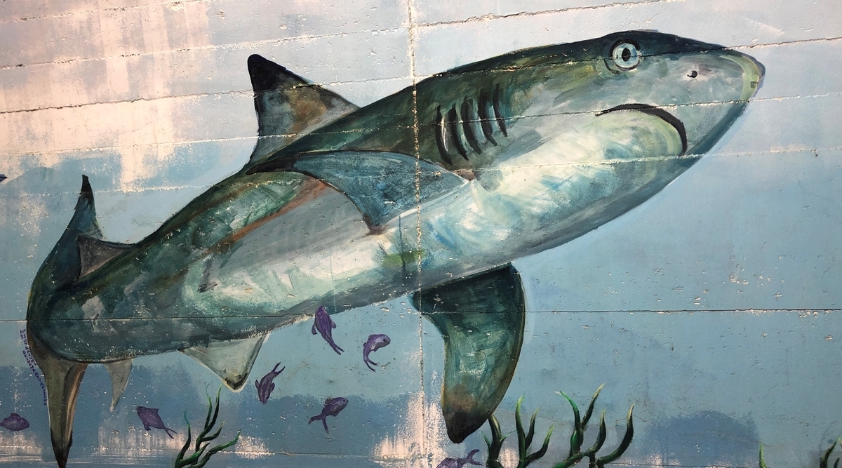 f:id:takaosanguchi:20220413154147j:plain