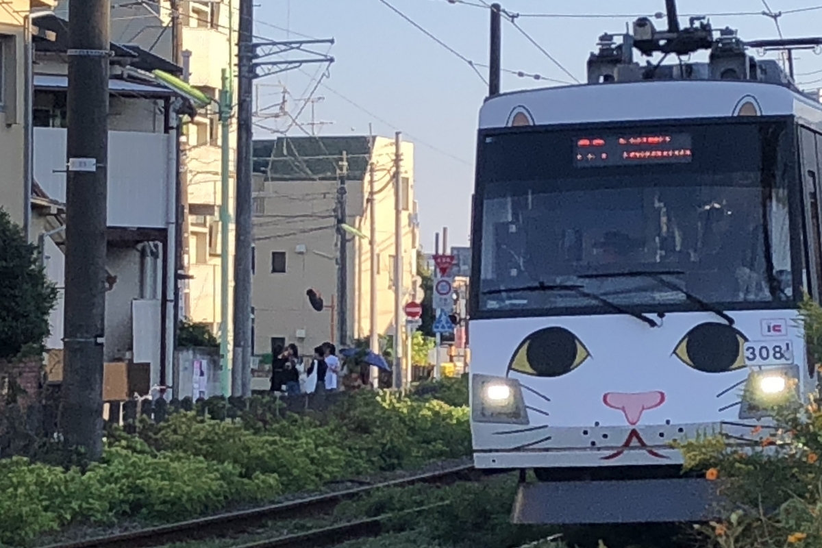 にゃんにゃん - タカオサンの膝栗ケッ!