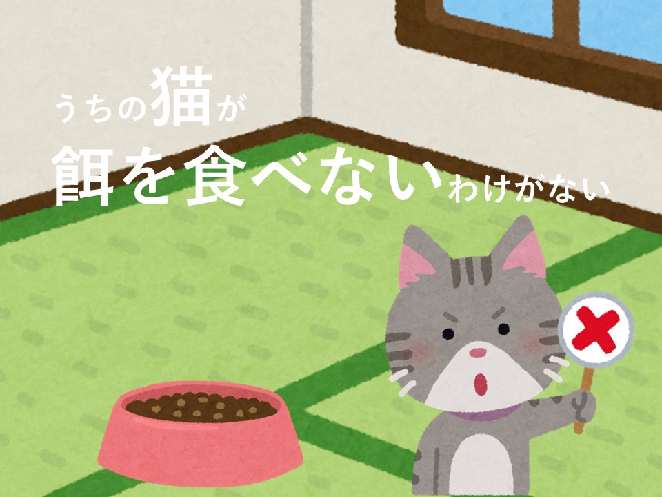 老猫 餌 食べない