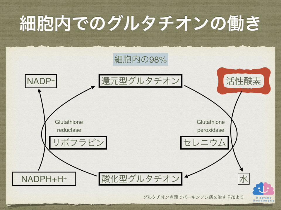 細胞内でのグルタチオンの働き