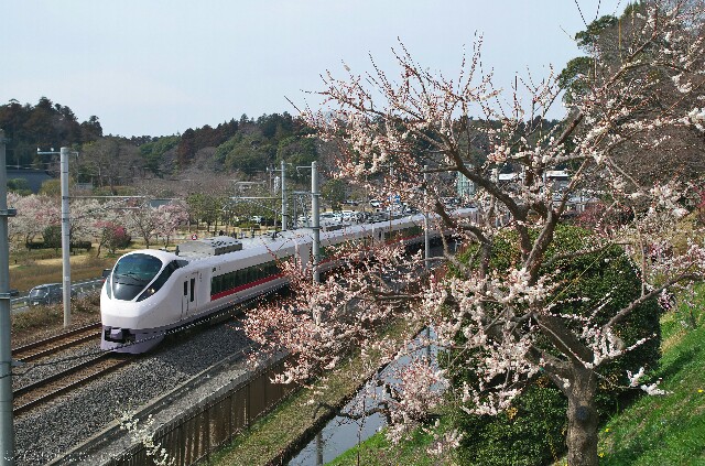f:id:takasan1305:20190430222643j:image f:id:takasan1305:20190430222643j:image