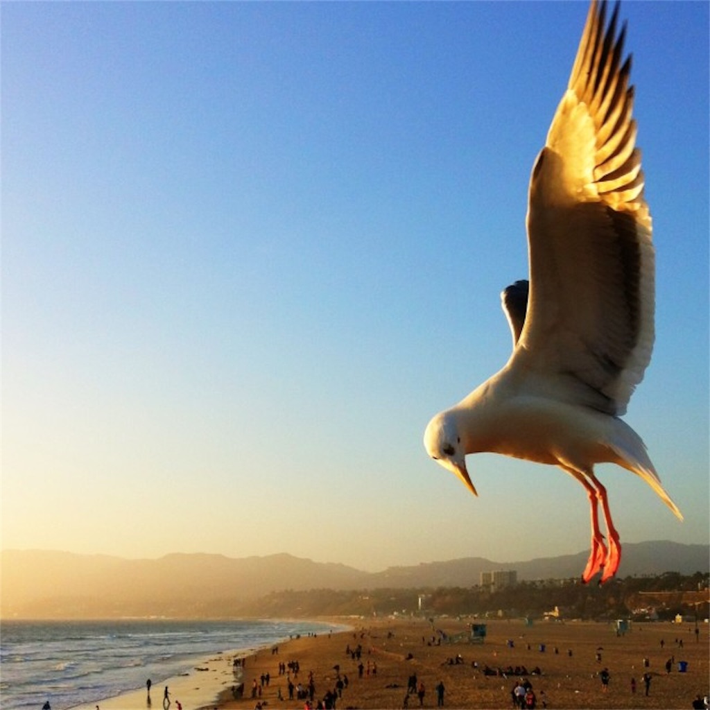 f:id:takasannn:20190611032333j:image
