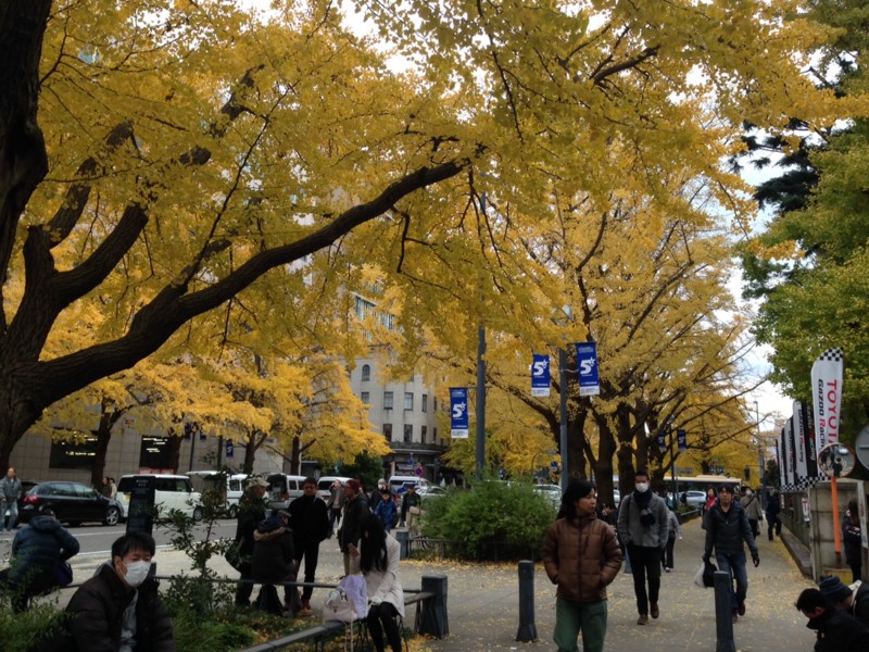 f:id:takase22:20151206140022j:image:w360 f:id:takase22:20151206140022j:image:w360