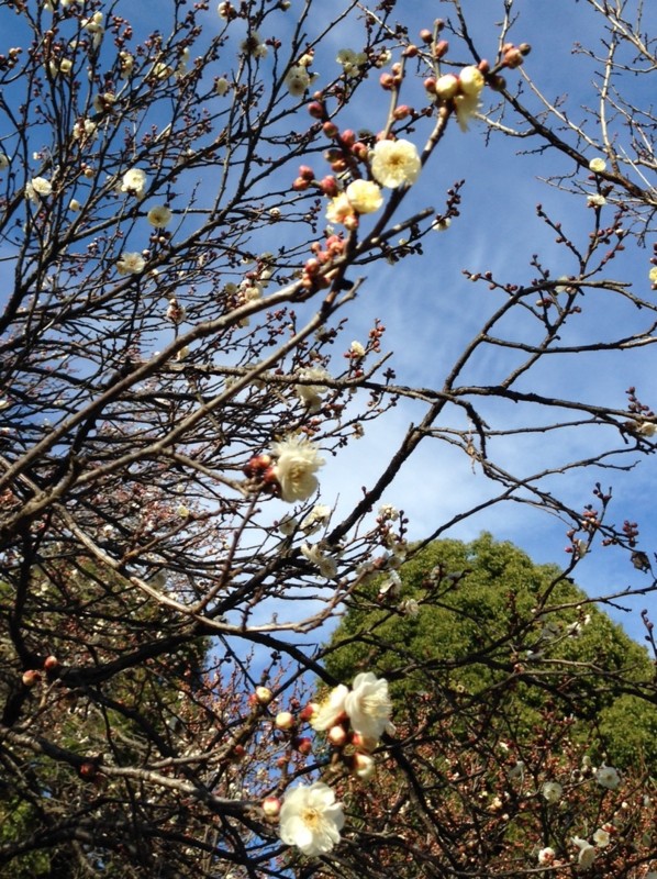 f:id:takase22:20160102131243j:image:w360 f:id:takase22:20160102131243j:image:w360