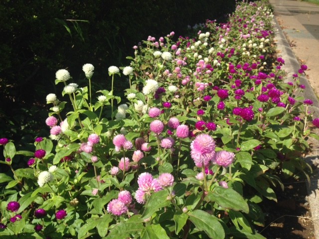 f:id:takase22:20161015102732j:image:w270 f:id:takase22:20161015102732j:image:w270