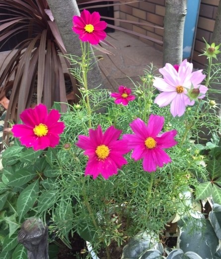 f:id:takase22:20161024215706j:image:w200:right