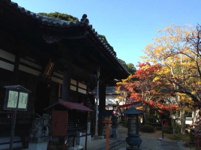f:id:takase22:20161112134631j:image:w200 f:id:takase22:20161112134631j:image:w200