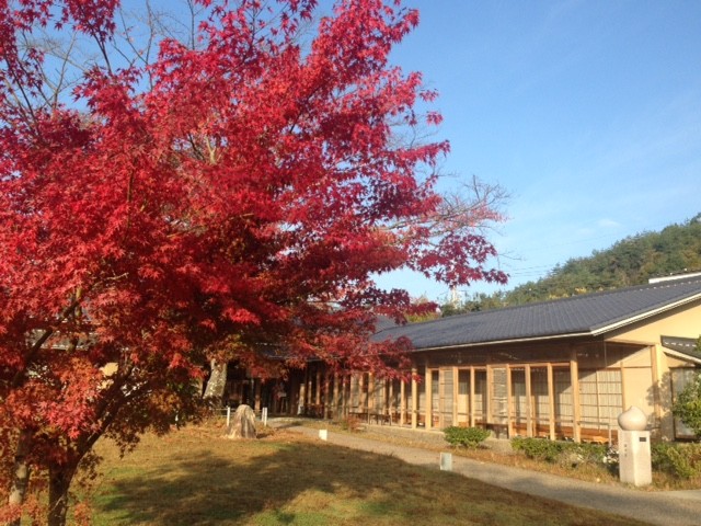 f:id:takase22:20161113075242j:image:w200