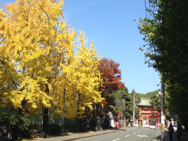 f:id:takase22:20161113111331j:image:w200