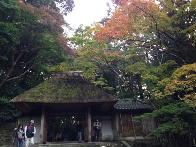 f:id:takase22:20161113150632j:image:w200