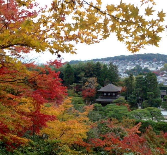 f:id:takase22:20161113163152j:image:w200