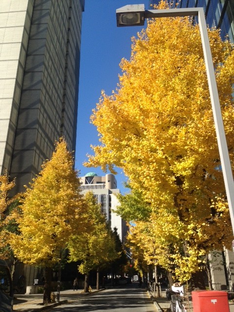 f:id:takase22:20161202110537j:image:w180 f:id:takase22:20161202110537j:image:w180