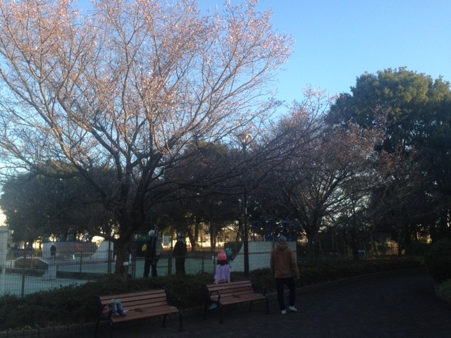 f:id:takase22:20161225152715j:image:w200:left f:id:takase22:20161225152715j:image:w200:left