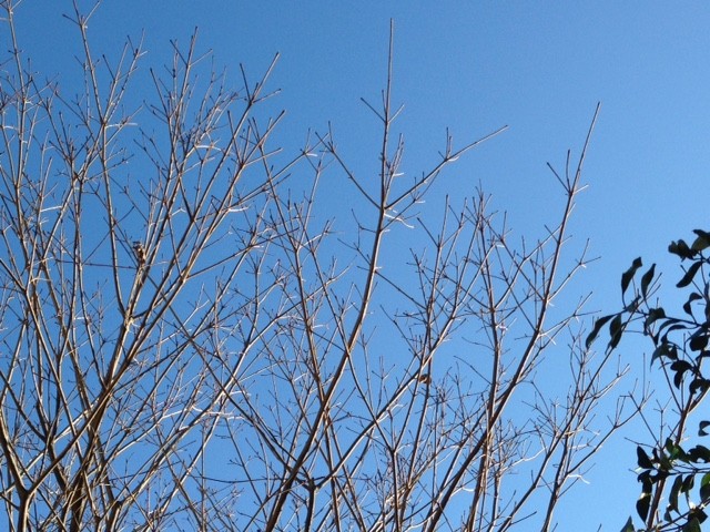 f:id:takase22:20161231145914j:image:w180:right