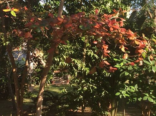 f:id:takase22:20170121012815j:image:w250 f:id:takase22:20170121012815j:image:w250