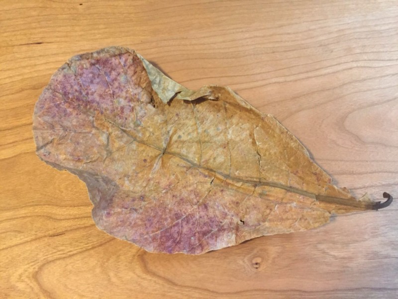 f:id:takase22:20170121012902j:image:w200:right f:id:takase22:20170121012902j:image:w200:right