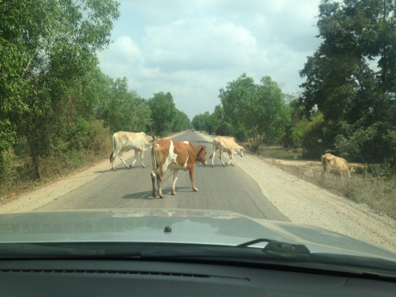 f:id:takase22:20170310100921j:image:w300:left