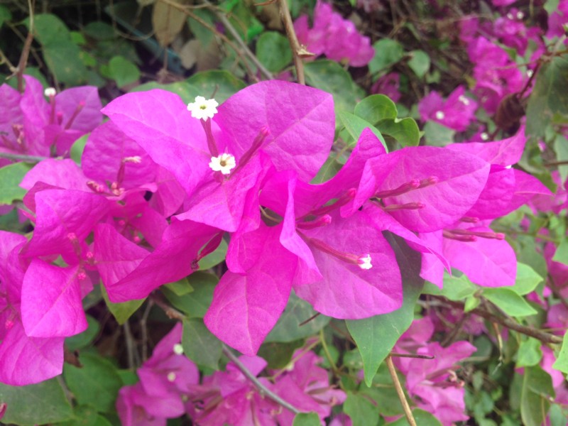 f:id:takase22:20170310111205j:image:w150:right