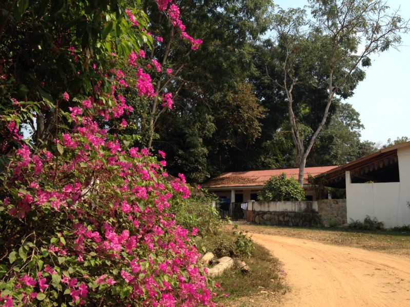 f:id:takase22:20170312142503j:image:w300:left