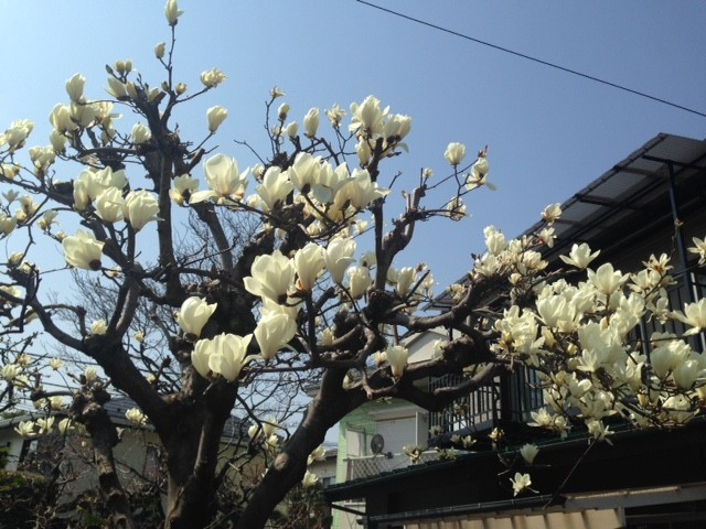 f:id:takase22:20170320123203j:image:w300