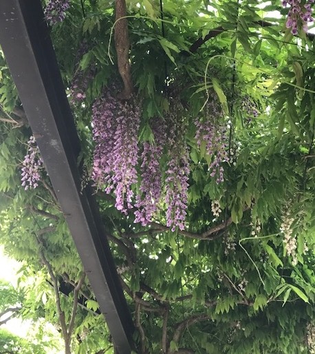 f:id:takase22:20170507162253j:image:w250