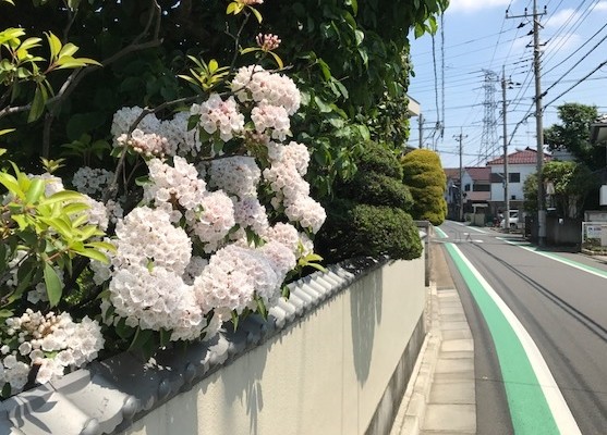 f:id:takase22:20170519102431j:image:w250