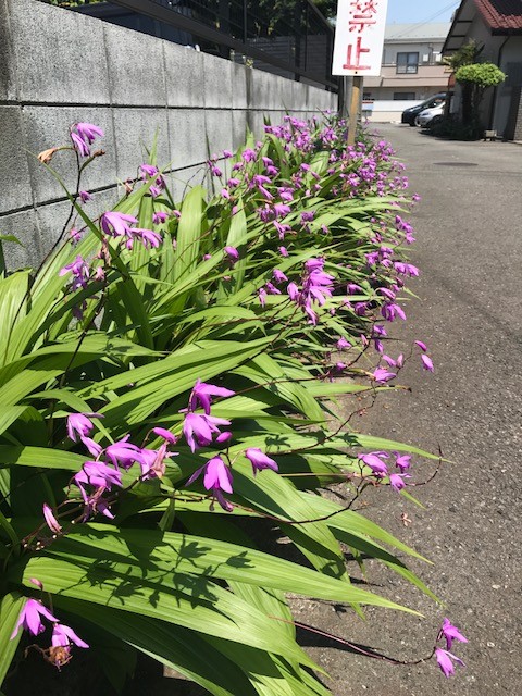 f:id:takase22:20170520104836j:image:w200:right