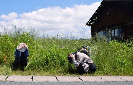 f:id:takase22:20170611023739j:image:w250