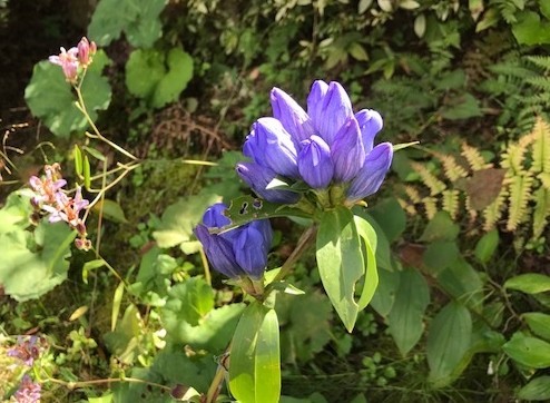 f:id:takase22:20171005103030j:image:w280:right