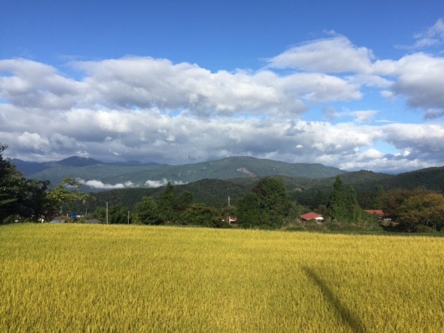 f:id:takase22:20171005235635j:image:w250