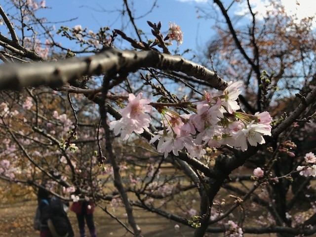 f:id:takase22:20171129123405j:image:w390