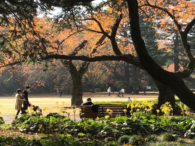 f:id:takase22:20171129123835j:image:w250