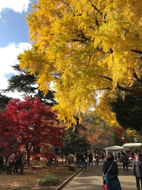 f:id:takase22:20171129124629j:image:w230