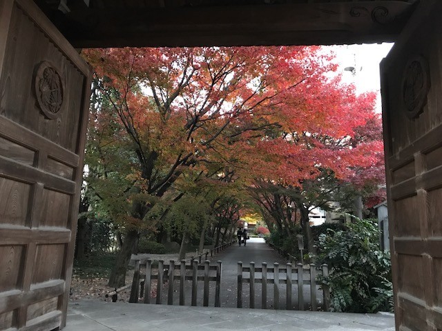 f:id:takase22:20171203163032j:image:w360