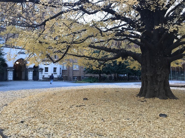 f:id:takase22:20171207161100j:image:w300