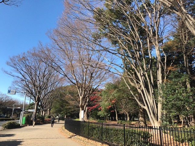 f:id:takase22:20171213102750j:image:w280