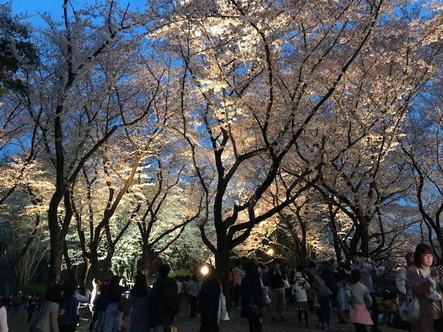f:id:takase22:20180401182107j:image:w280:left f:id:takase22:20180401182107j:image:w280:left