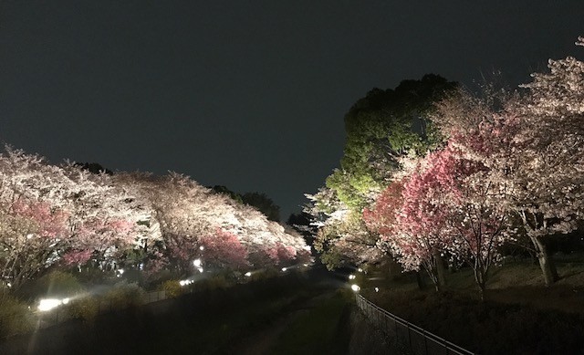 f:id:takase22:20180401185235j:image:w380 f:id:takase22:20180401185235j:image:w380