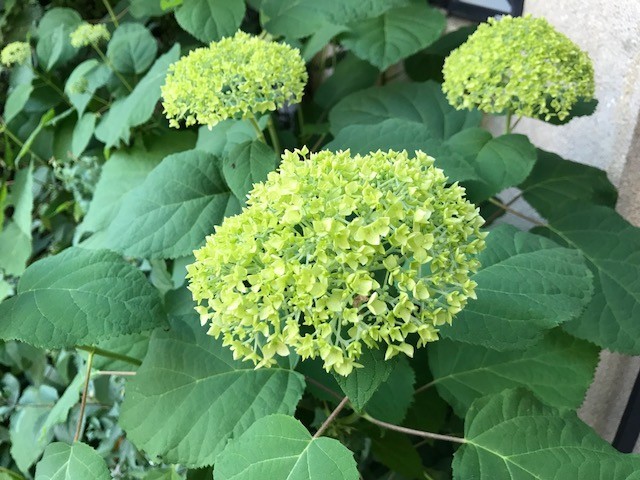 f:id:takase22:20180520174630j:image:w300:left