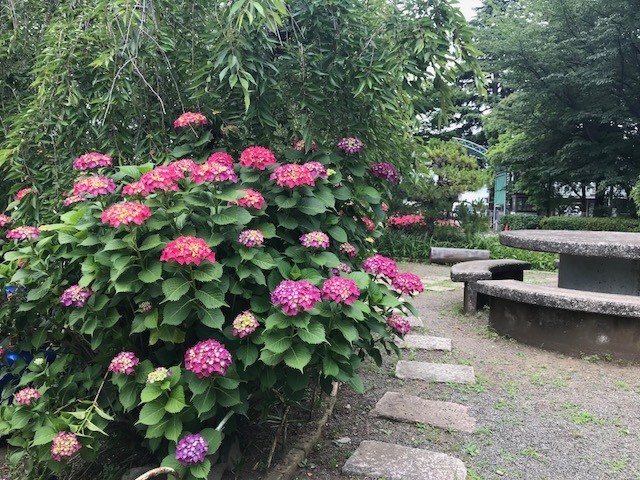 f:id:takase22:20180529112959j:image:w280:right