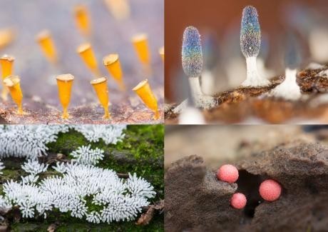 f:id:takase22:20180716162807j:image:w250:left