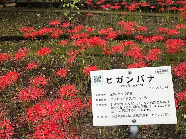 f:id:takase22:20180917143312j:image:w300:left