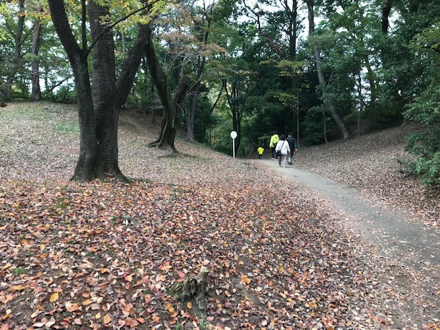 f:id:takase22:20181118145646j:image:w220:left