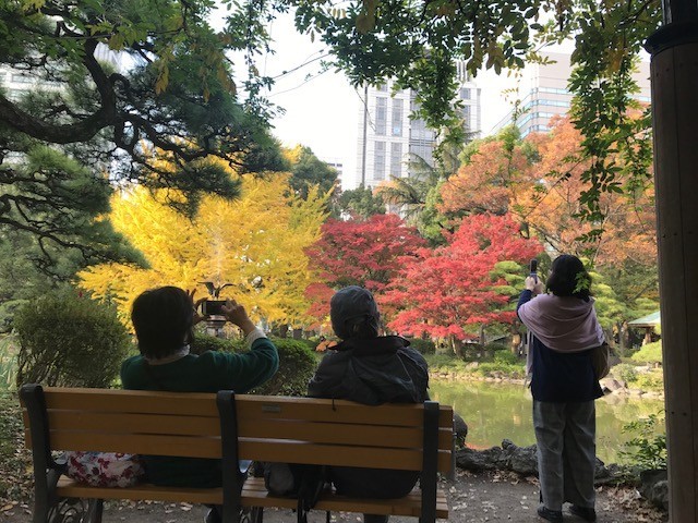 f:id:takase22:20181128134334j:image:w250:left