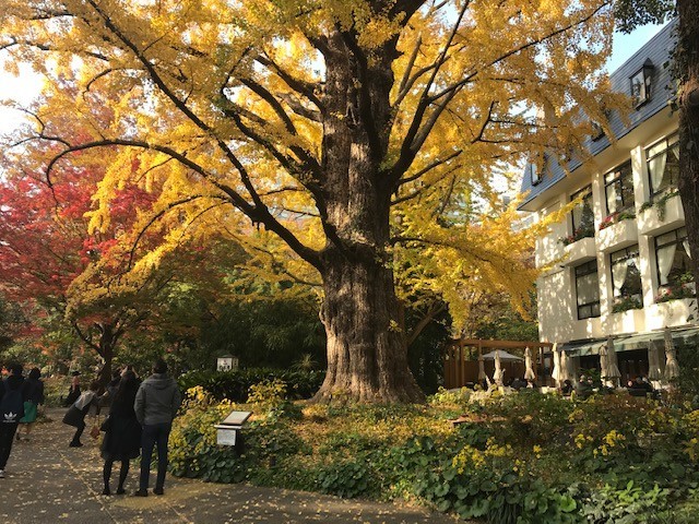 f:id:takase22:20181128134740j:image:w280:right