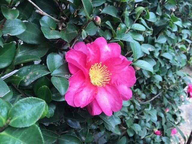 f:id:takase22:20181129100135j:image:w280:right