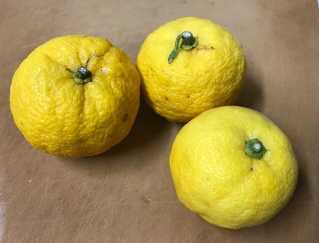 f:id:takase22:20181223012654j:image:w220:right f:id:takase22:20181223012654j:image:w220:right