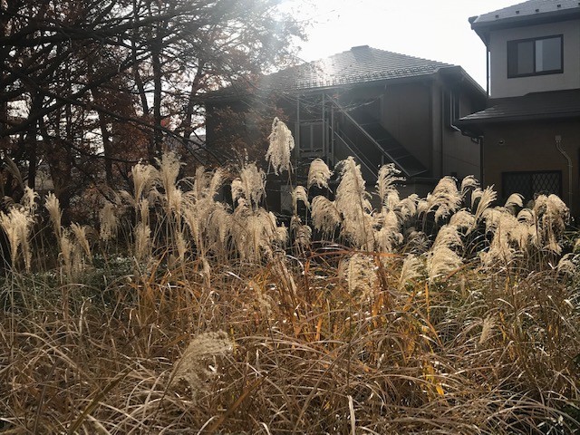 f:id:takase22:20181226095010j:image:w230:left