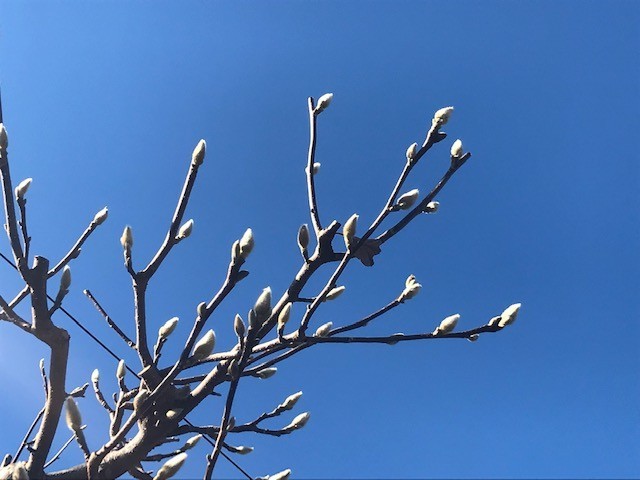 f:id:takase22:20190103132634j:image:w250:left