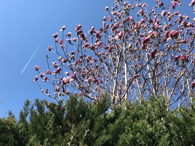 f:id:takase22:20190318112022j:plain f:id:takase22:20190318112022j:plain
